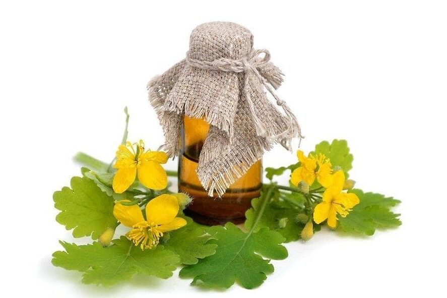 Celandine in the product